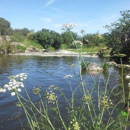 Peñarroya-Pueblonuevo Casa Rural Y Espacio Para Eventos El Pantano المظهر الخارجي الصورة